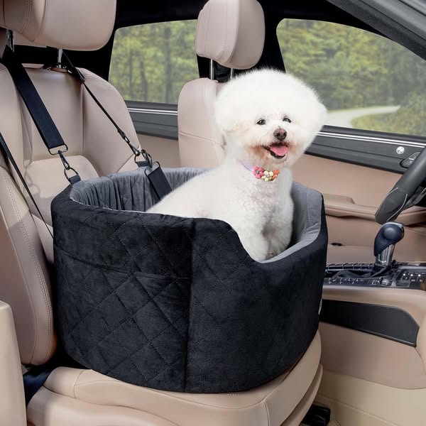 Best deals for everyday items at special prices daily